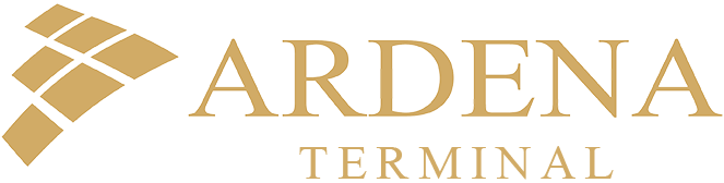 logo_terminal